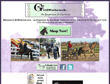 Tablet Screenshot of griffinbrook.com